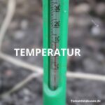 Betydningen af jord og lufttemperatur for tomatplanterne