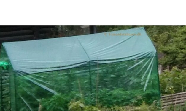 Popup drivhus – et godt alternativ til drivhus