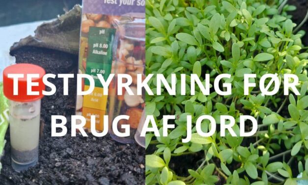 Testdyrkning  – også før udplantning