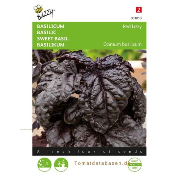 Buzzy® Basil Red Lizzy - Red Lettuce Leaved