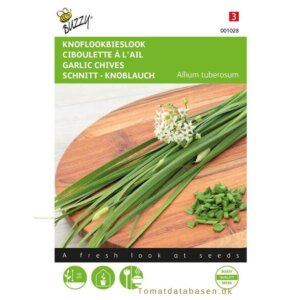 Buzzy® Garlic Chives - Chinese