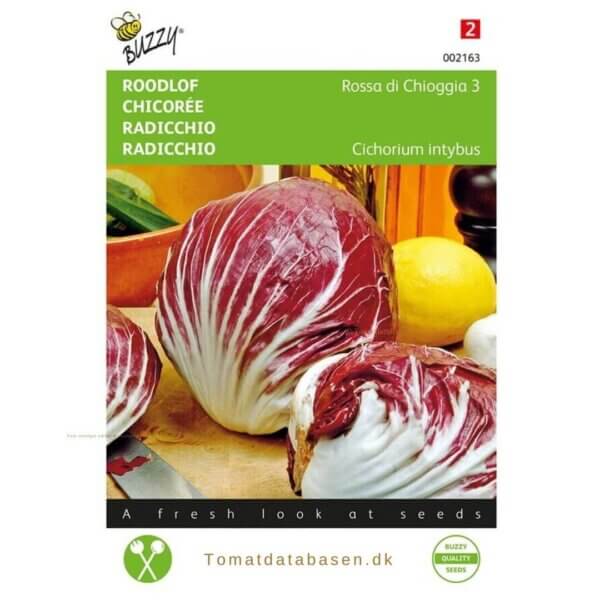 Radicchio - 'Rossa'