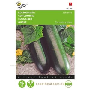 Buzzy® Cucumber Johanna