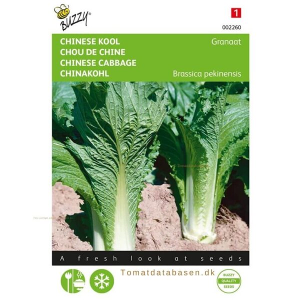 Buzzy® Chinese cabbage Michihili