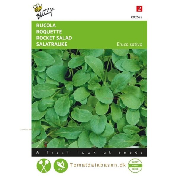Rucula (Eruca sativa)