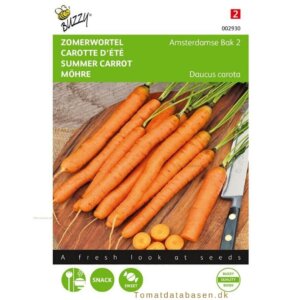 Buzzy® Summer Carrot Amsterdam 2