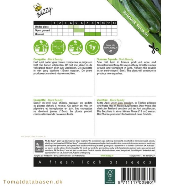 Squash - 'Black Beauty Long Green'