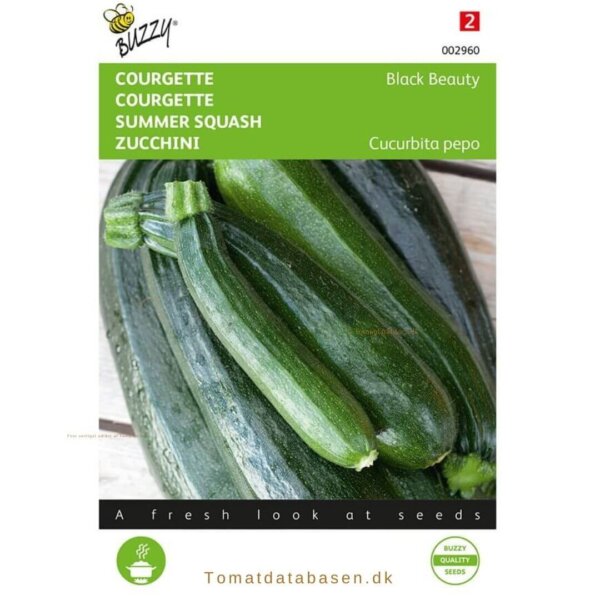 Squash - 'Black Beauty Long Green'