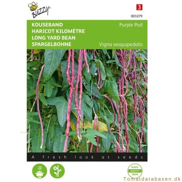 Buzzy® Long Yard Beans Purple Pod