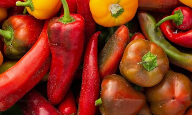 Chili  “familier”