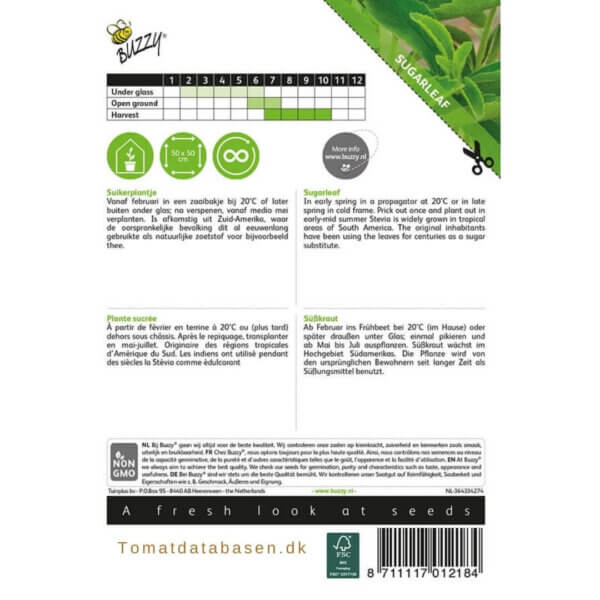 Stevia - sukker plante
