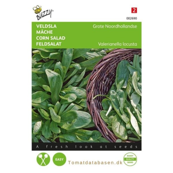 Feld-salat - 'Lamb's lettuce'