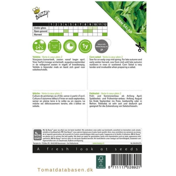 Feld-salat - 'Green Volhart 2'