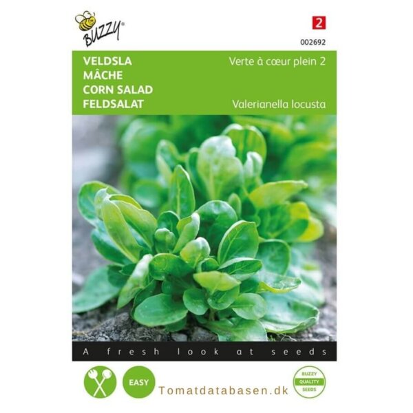 Feld-salat - 'Green Volhart 2'