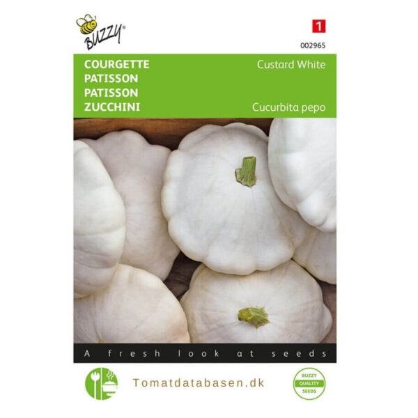Squash -'Custard White'
