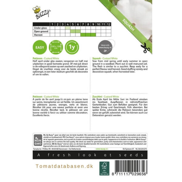 Squash -'Custard White'
