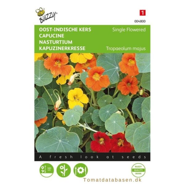 Blomsterkarse - mix