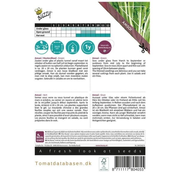 Sennepskål - Amsoi - 'Green'