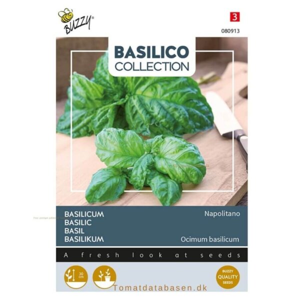Basilikum - 'Napolitano'