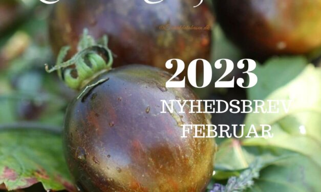 Nyhedsbrev februar 2023