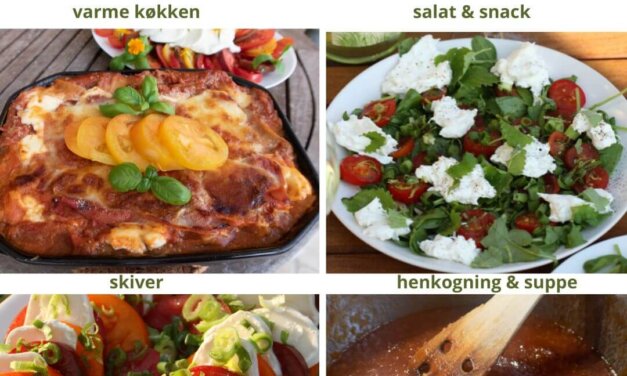 Vælg tomatsorter efter anvendelse