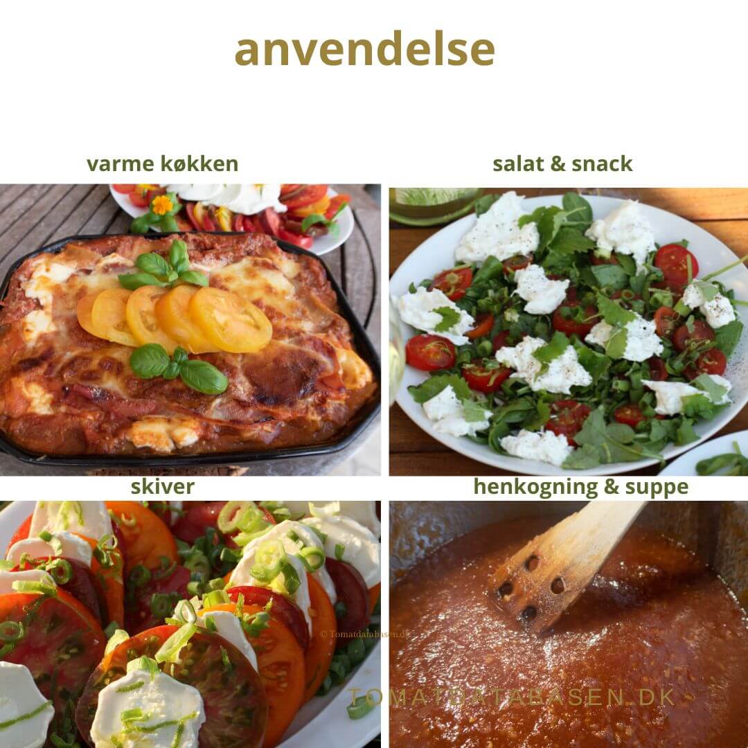 Vælg tomatsorter efter anvendelse