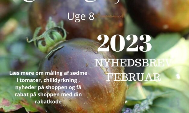 Nyhedsbrev Februar 2023 – uge 8