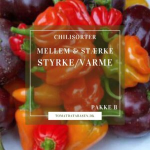 Chilifrøpakke - medium til stærke/varme sorter | Tomatdatabasen.dk