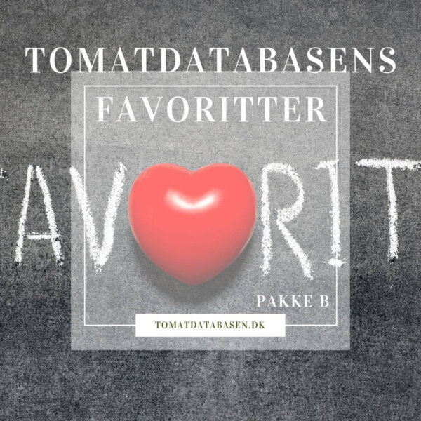 Tomatdatabasens Favoritter - tomat frøpakke | Tomatdatabasen.dk