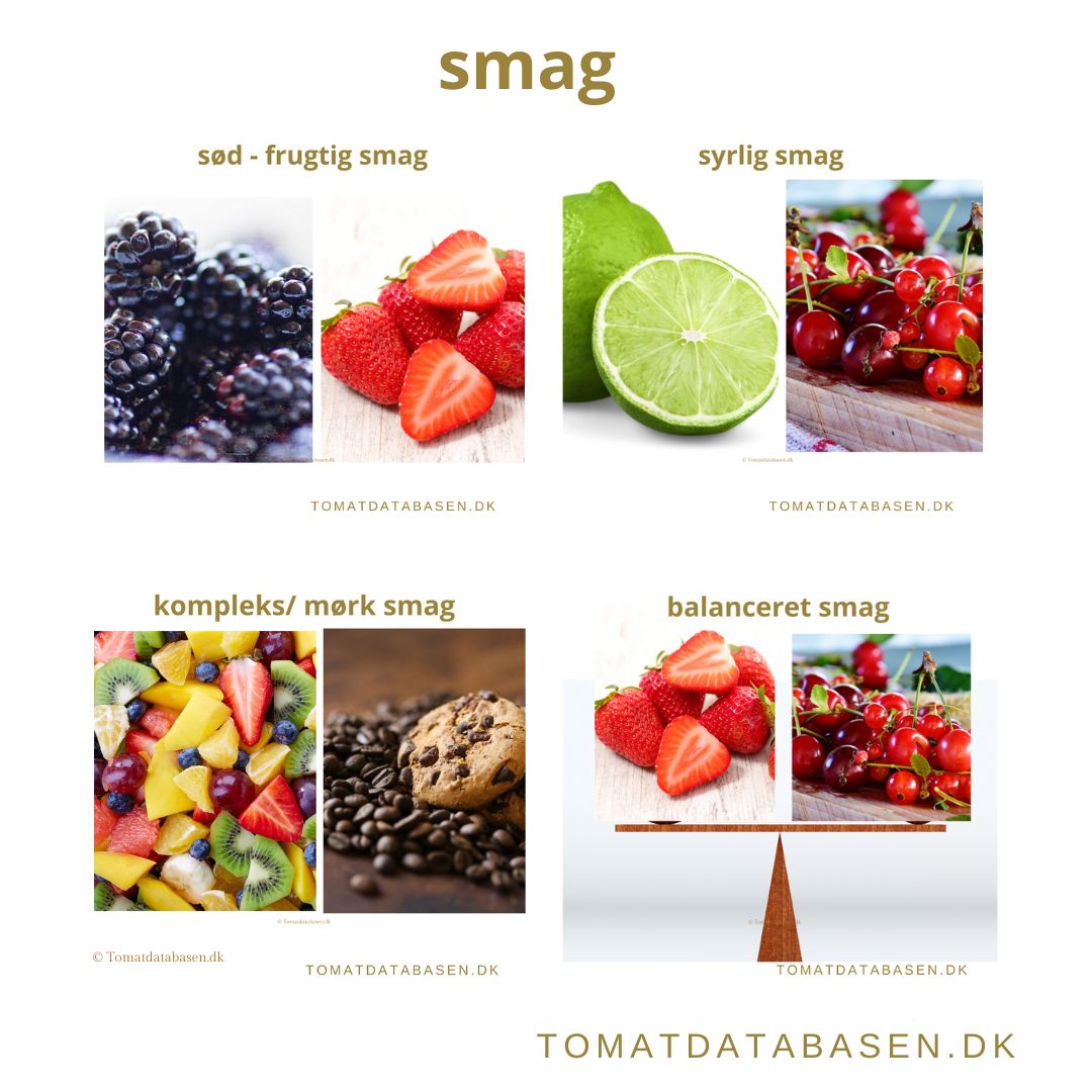 Vælg tomatsorter efter smag