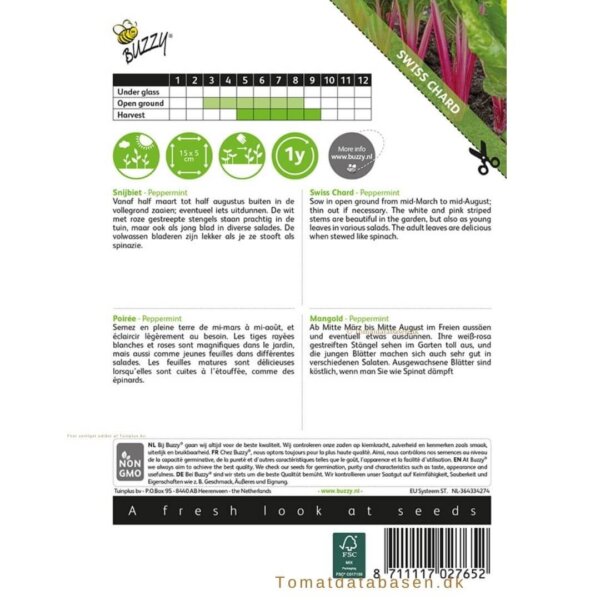Mangold - bladbede 'Peppermint'