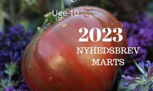 Nyhedsbrev uge 10 – Marts 2023