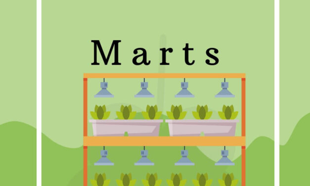 Det kan du så og forspire i marts