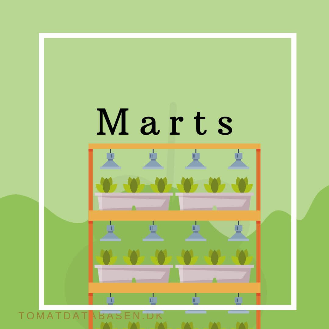 Såkalender - Marts - Det kan du så og forspire i marts