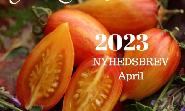 Nyhedsbrev april 2023