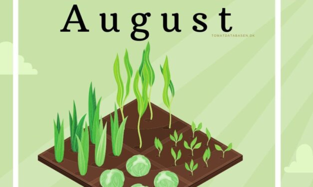 Det kan du så og dyrke i august