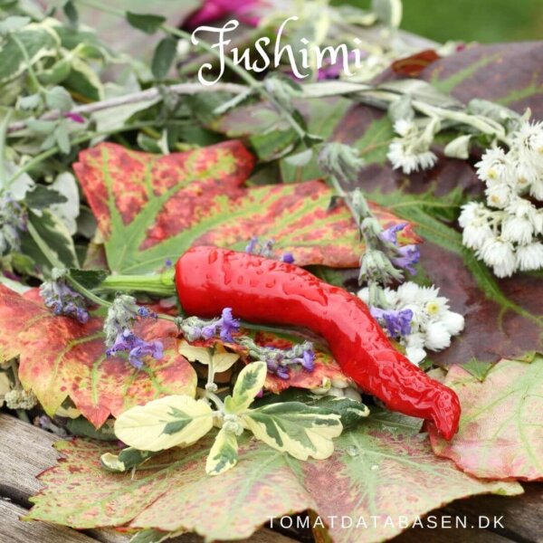 Fushimi