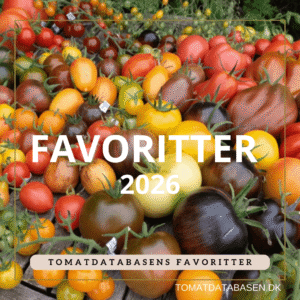 Frøpakke - Tomatdatabasens favoritter