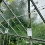 Tomatdyrkning – juli