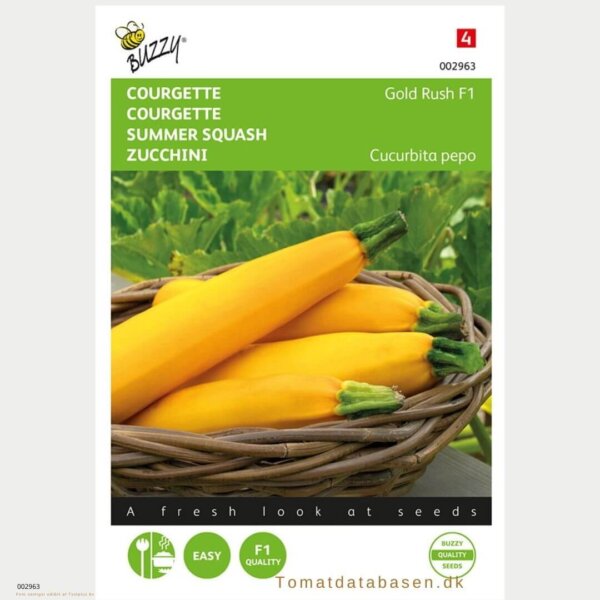 Sommer squash - Gold Rush F1