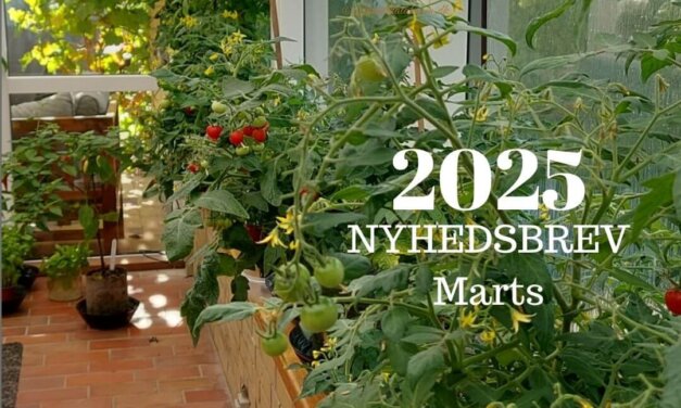 Nyhedsbrev marts 2025