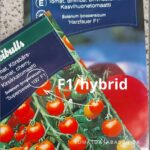 F1-sorter – deres fordele og ulemper