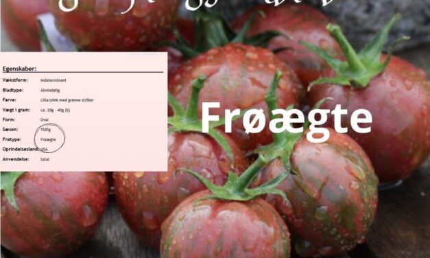 Frøkonstante (OP) sorter