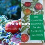 Heirloom-tomater