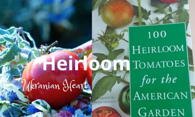 Heirloom-tomater