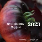 Nyhedsbrev maj – juni