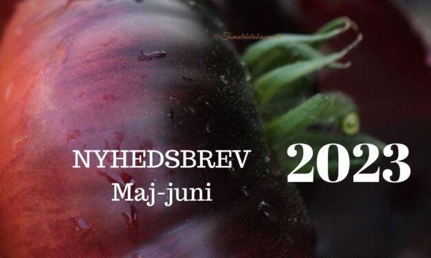 Nyhedsbrev maj – juni