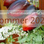 Sommer 2025