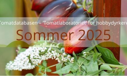 Sommer 2025