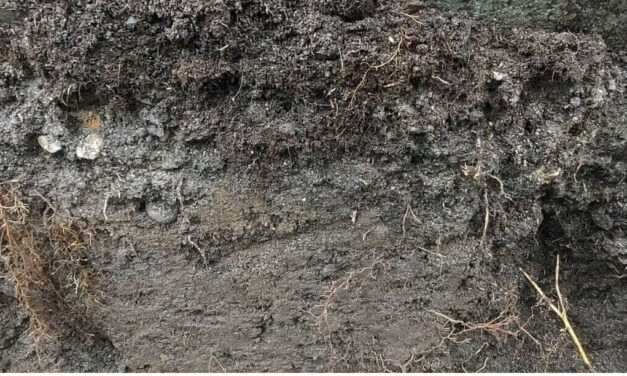 Jord og dens egenskaber